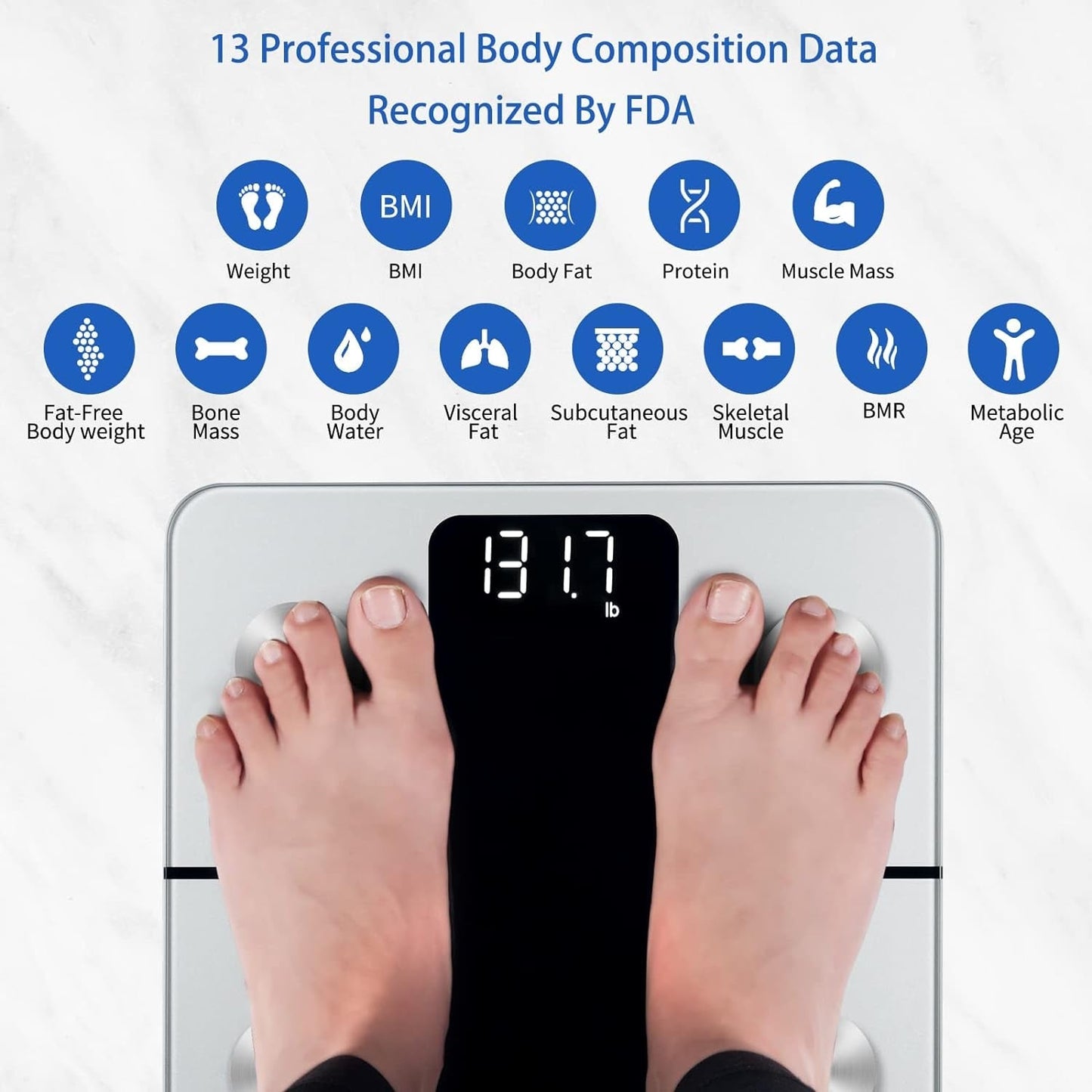 Body Fat Composition Scale - 2